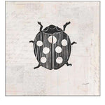 Ladybug Stamp BW