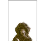 The Dog