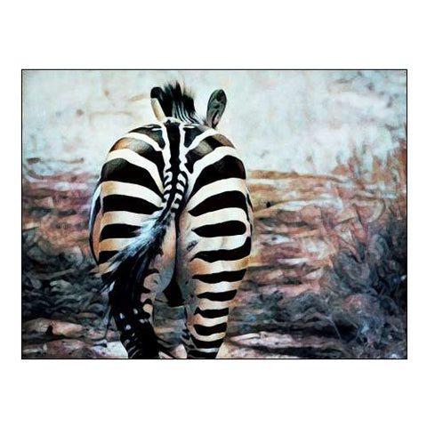 Zebra Butt Beautiful