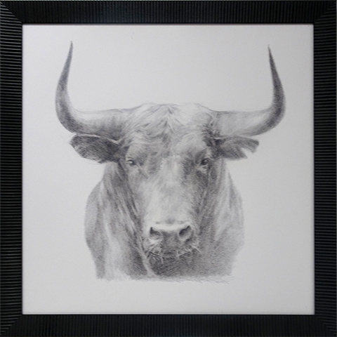 Black Bull: Framed with Glass