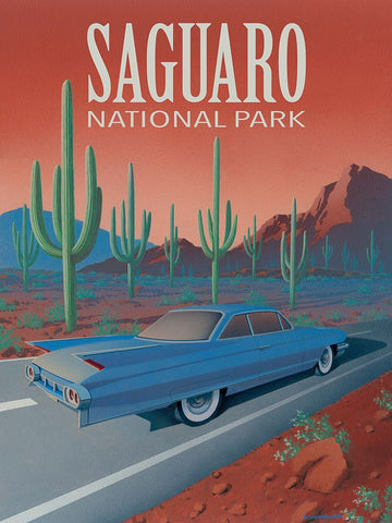 Vintage Travel: Saguaro National Park