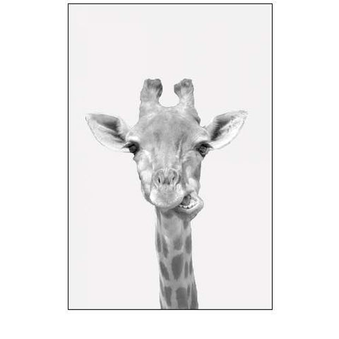 Quirky Giraffes 2