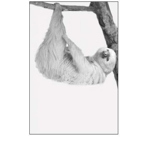 Quirky Sloths 1