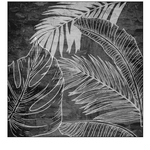 Black And White Palm 1