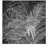 Black And White Palm 2