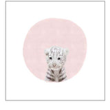 Baby White Tiger Pink