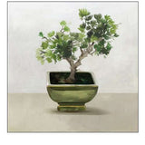 Bonsai Tree I