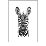 Zebra Illustration