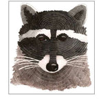 Raccoon