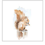 Watercolor Squirrel