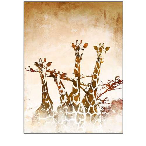 Safari Giraffe II