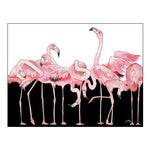 Black And White Meets Flamingos