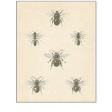 Bee Chart I