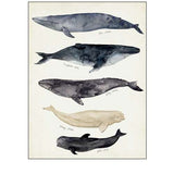 Whale Chart II