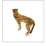 Golden Cheetah I