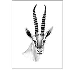 Gazelle Sketch II