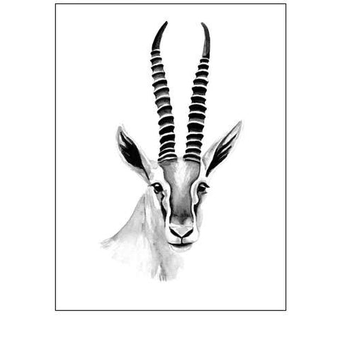 Gazelle Sketch II