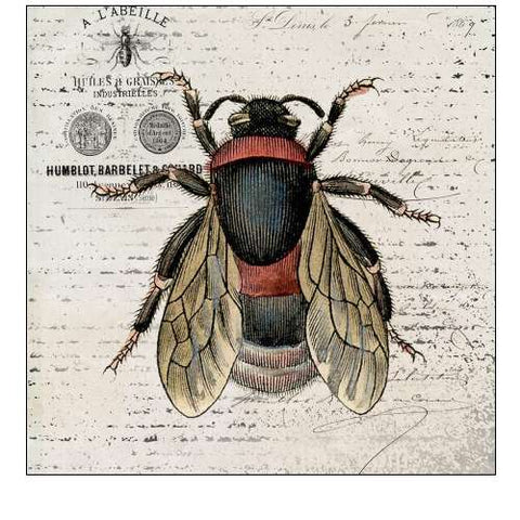 History Bee I