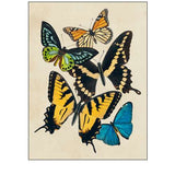 Collaged Butterflies II