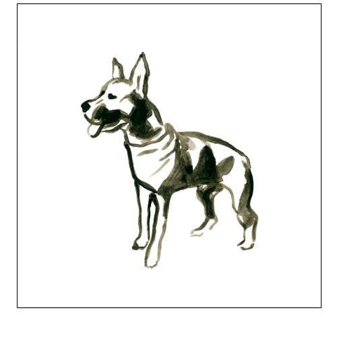 Canine Cameo VII