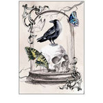 Nevermore Collection B
