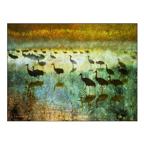 Cranes in Mist I