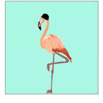 Hat on a Flamingo