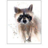 Raccoon