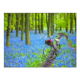 Bicycle in Spring Forest