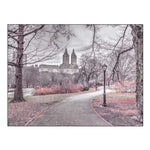 Pathway through Central park-New York