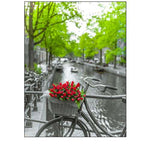 Bicycle with bunch of flowers by the canal-Amsterdam