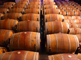 Wine Barrel Cellar