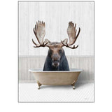 Bath Time Moose