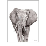 Safari Elephant Peek-a-Boo