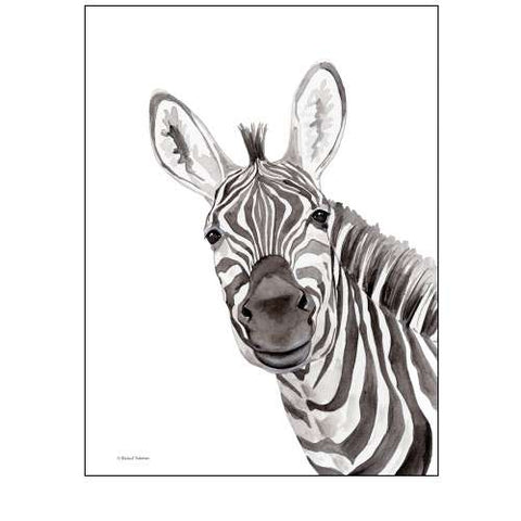 Safari Zebra Peek-a-Boo