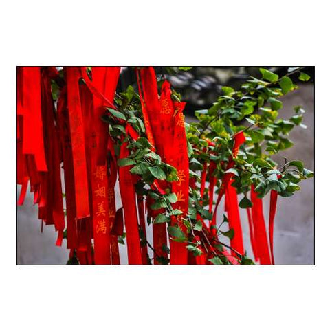 Asia-China-Zhujiajiao (Venice of the East)-Red Ribbons of Wish to a Higher Power