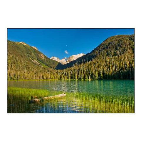 Canada-British Columbia-Joffre Lakes Provincial Park-Lower Joffre Lake Landscape