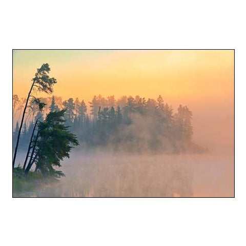 Canada-Ontario-Kenora Fog at Sunrise on Isabel Lake