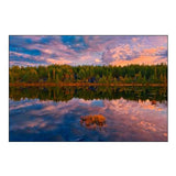 Canada-Ontario-Greater Sudbury Lake Grasses and Cloud Reflections at Sunrise