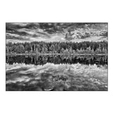 Ontario - Black and White of Lake Grasses and Cloud Reflections at Sunrise