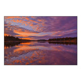 Canada-Ontario-Kenora District Forest Autumn Colors Reflect on Middle Lake at Sunrise