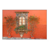 Mexico, San Miguel de Allende Window and plants