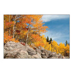 USA, Colorado, Rocky Mountain NP Autumn