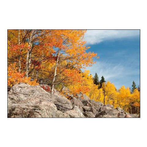 USA, Colorado, Rocky Mountain NP Autumn