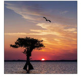 Sunset on Blue Cypress Lake Conservation Area-Vero Beach-Florida