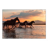 Water Horses