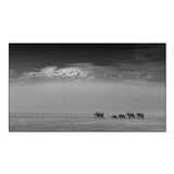 Elephant Family Under Mount Kilimanjaro