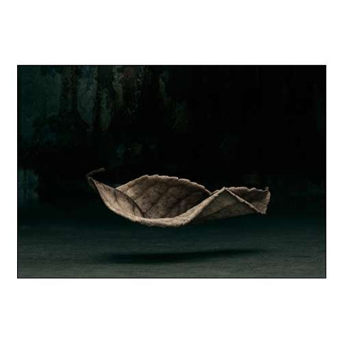 Fallen