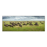 Great Migration In Serengeti Plains