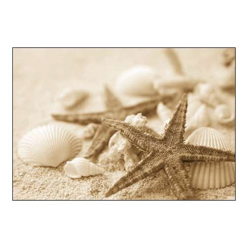Starfish and Seashells